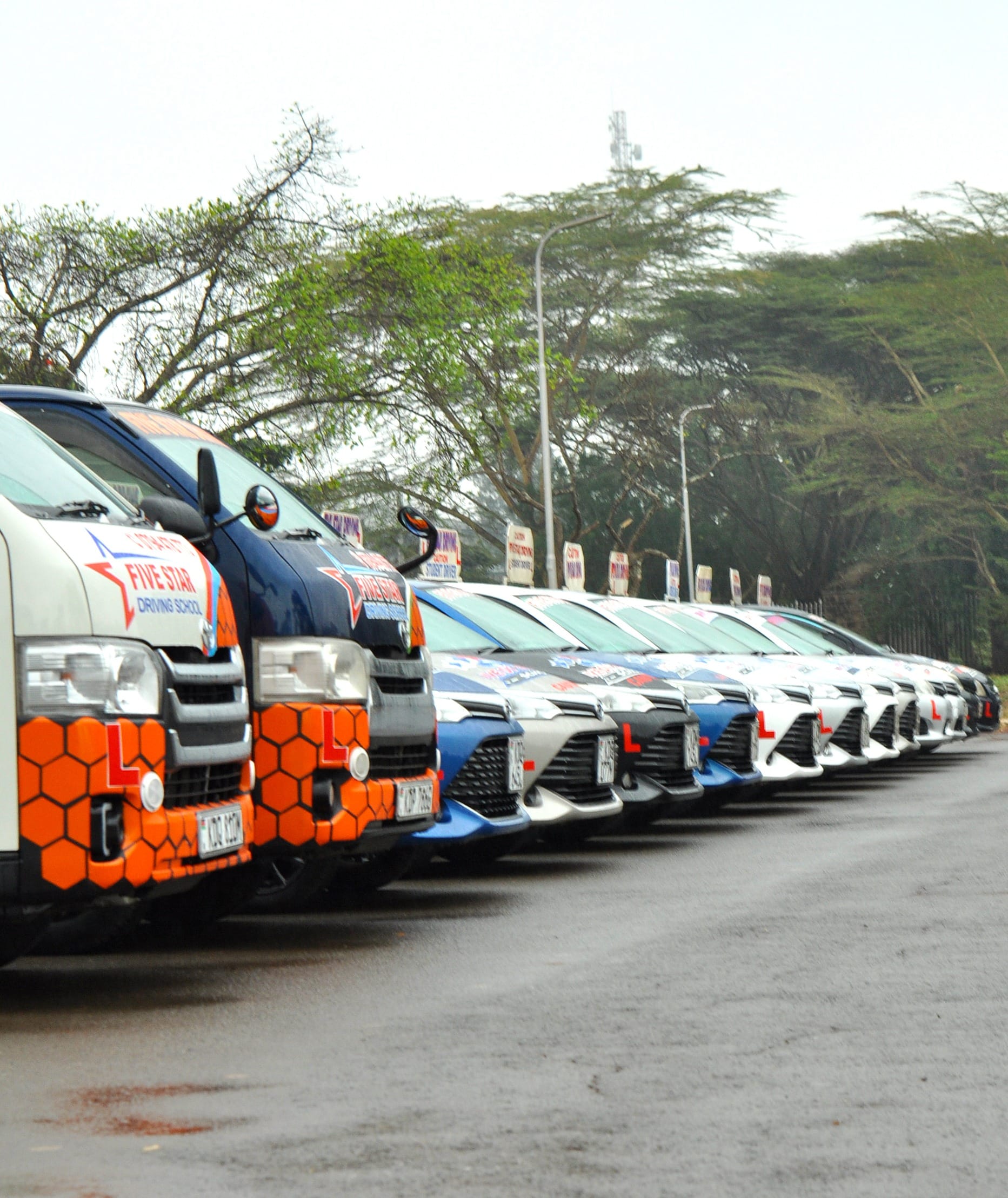 Professional Vans Fleet Lineup